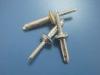 Protruding Head Aluminum Pop Blind Rivets Gesipa For Industrial Fasteners
