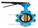 120 inch Flanged Butterfly Valve , DN50-3000 Stainless Steel Lug Type Butterfly Valve