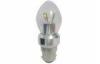 3W 260Lm LED Globe Bulb Frosted 3000K , Incandescent Bulb Replacement