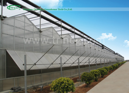 Polycarbonate greenhouse for sale