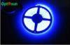 4.8W/M Blue SMD 3528 LED Strip Light IP68 Waterproof with 120 Beam Angle for Architectural