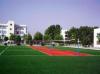 Red Artificial Turf Sports Volleyball for Garden Balcony Roof Wall Decoration Sport Ground