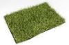Monofilament Commercial Artificial Grass For Indoor Display 20mm Dtex9000