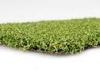 Monofilament Polypropylene Outdoor Artificial Grass Courtyard / Landscape 15mm Dtex6000