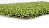 10mm Dtex6000 Golf Artificial Grass , Monofilament Outdoor / Courtyard Fake Turf Grass