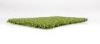 Fake Monofilament Outdoor Golf Artificial Grass Roll For Park / Patio 13mm Dtex6000