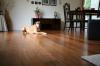 Wide Plank Bamboo Flooring