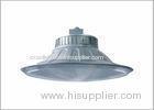 Anti-glare 250W / 400 W Industrial Pendant Lights , MH / HPS Ceiling Lamp