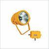MH Explosion Proof Floodlight