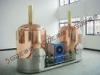 Stainless Steel Beer Dispensing System