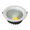 20W COB LED ceiling light