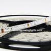 Waterproof 12V Architectural Side Emitting LED Flexible Light Strip 9.6 Watt For Canopy