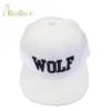 Custom Mens Sports Baseball Caps With Cheap Price