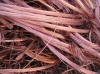 copper wire scrap 99.9%