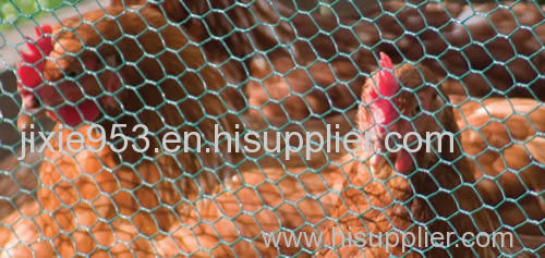 Decorative PVC Coated Chicken Wire for Poultry Protection