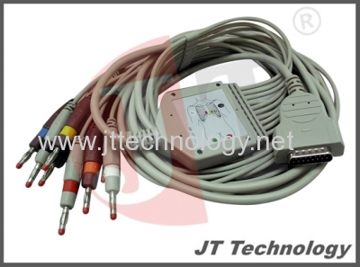 10 leads ECG Cable and lead wire