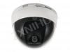 CE Vandalproof Dome IR IP Camera Supporting POE Power Supply, D1 Resolution, USB Function