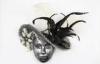 Couples Traditional Venetian Masks , Silver Metal Carnival Mask