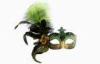 Luxury Green Plastic Feather Masquerade Masks For Wedding Party