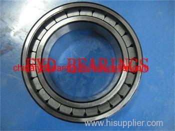 SL192309 Single row full complement cylindrical roller bearing 45X100X36mm
