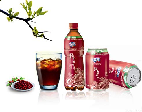 2014 Bottle Natural Fruit Juice(Jujube flavor)