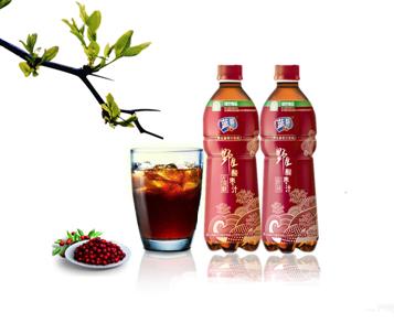 500ml Sugar free soft drink(Wild Jujube flavor)