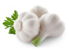 Super Good Quality Garlic medici