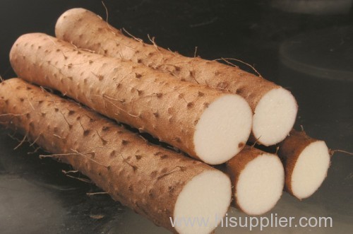 30cm up 2012 new crop long fresh Yam for sale Yam medicine