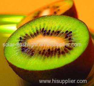 organic fruit powder of red kiwi fruit