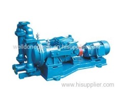 motor driven diaphragm pump