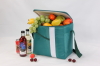 green high quality cooler bags-HAC13123