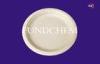 Polylactic Acid Biodegradable Big Oval Plate Eco Friendly Party Tableware