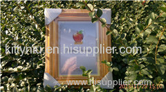 baby frame,plastic frame,glass frame,wedding frame