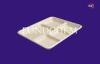 Party Biodegradable Disposable Plates