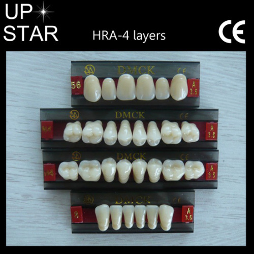 4 layers synthetic resin teeth