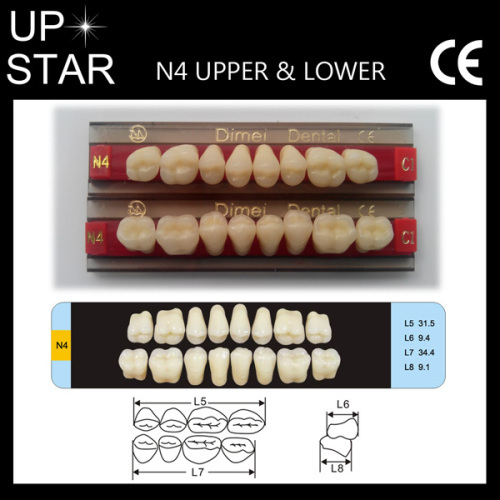 muti-layer dental false teeth