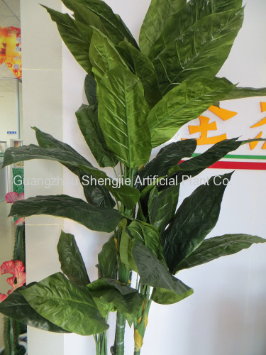 OEM high quality Shrubs banana tree