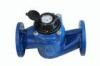 Blue Vertical Vane Wheel 80mm Water Usage Meter for Household , Commercial