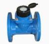 Anti-theft Horizontal Irrigation Water Meter , Brass Inline Water Meter