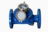 CE / MID Approval Vane Wheel Liquid Sealed Industrial Water Meter , Brass Body