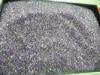 1.25mm Natural Amethyst Gemstones / Small Genuine African Amethyst