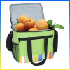 Fashion stylish green ice bag water-proof travel cooler bag