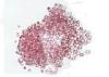 0.011 Carats Natural Loose Gemstones