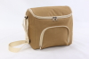 China manufacturer can cooler bag-HAC13096