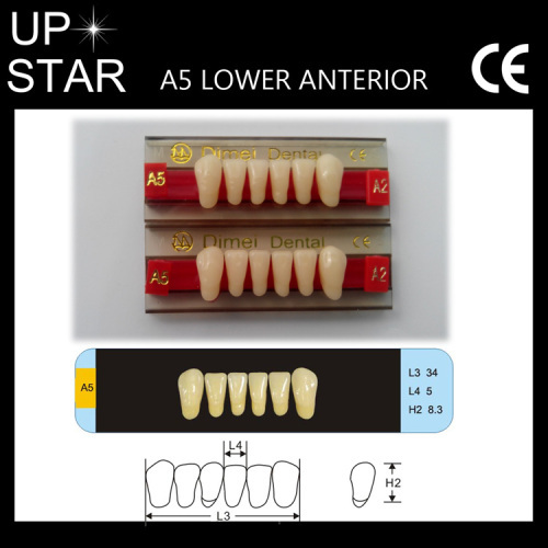 denture high quality upper and lower