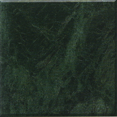 Polished Marble Tiles Indian Green