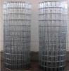 welded Wire Mesh Hot dipped galvanized after or before welding