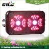 For Horticulture&Greenhouse&Hydroponic, Full Light Spectrums 300w LED Grow Light