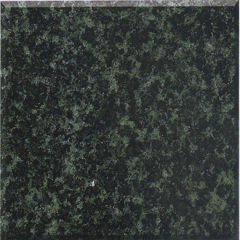 Sides Cut Polished China Rain Forest Green Granite Slabs