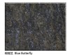 Butterfly Blue Granite slab and tiles